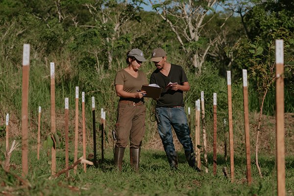 Investigación aplicada para restaurar ecosistemas clave