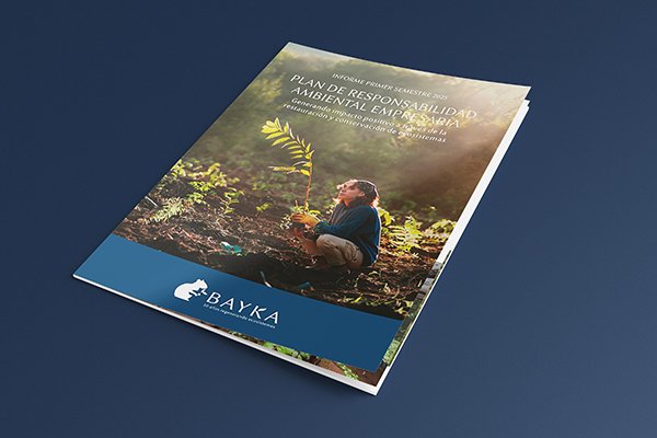 Reporte de Acciones Bayka – Primer Semestre 2025