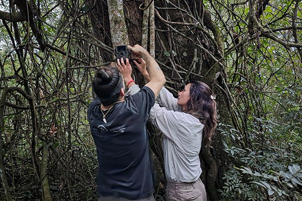 San Sebastián de la Selva se suma a una investigación sobre la salud de los coatíes en Misiones