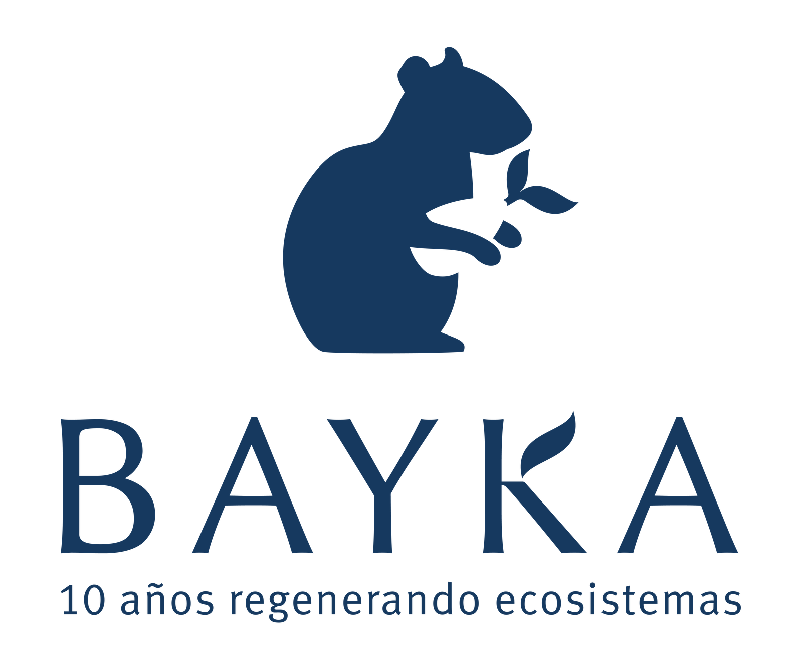 BAYKA Logo